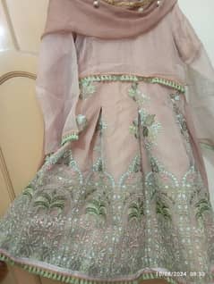 beautiful embroidered dress