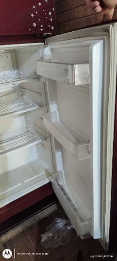 PEL medium size Refrigerator for sale.