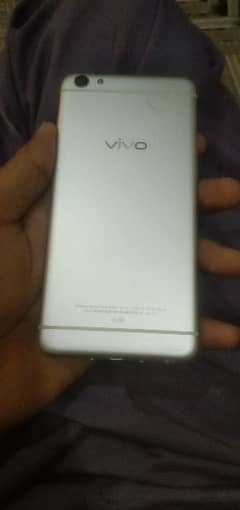 vivo