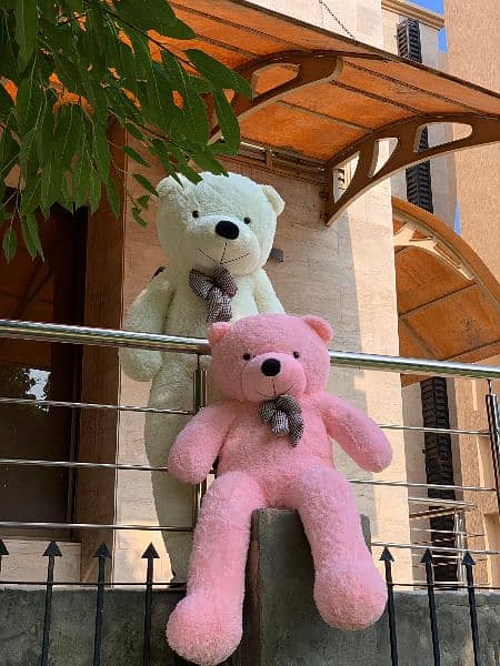 All size of teddy bear available 1