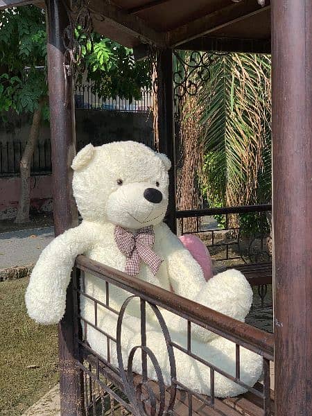 All size of teddy bear available 5