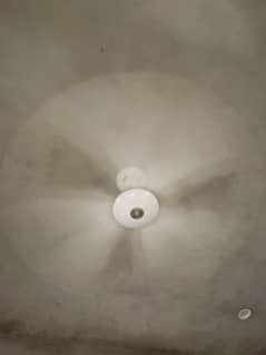 3 selling fan with copor Vainding urgent sell