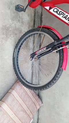 bicycle for sell