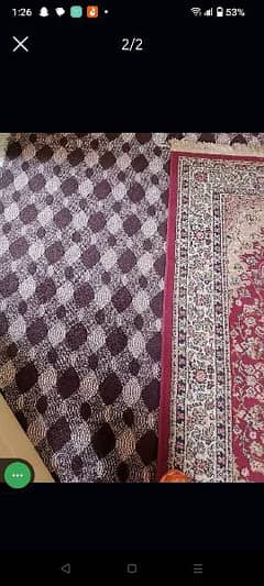 carpet in very good condition