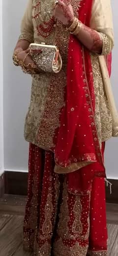 bridal dress with red and skin Combo