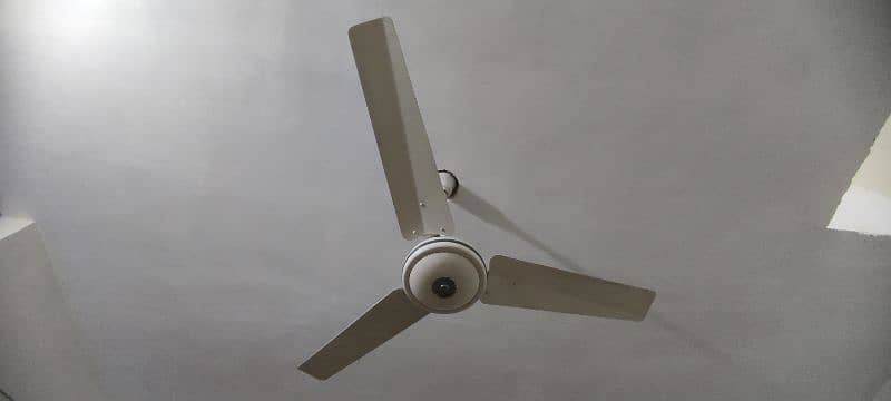 Fans 46" & 56" 1