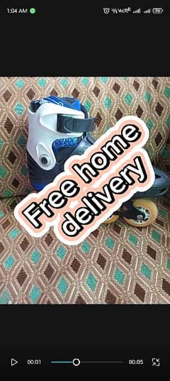 IMPORTED skate with reasonable price free delivery at you door