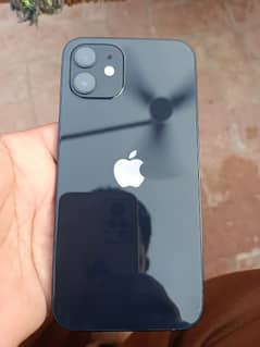 iphone 12 non pta jv 64 water Peck 88 health