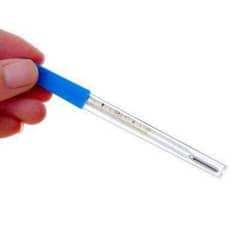 Mercury Thermometer