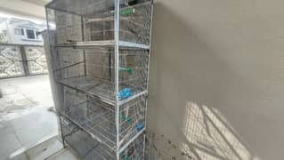 Cages | Birds Cage | Hens Cage | Parrots Cage | Available