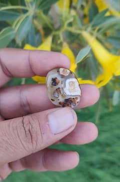 Dendritic Agate