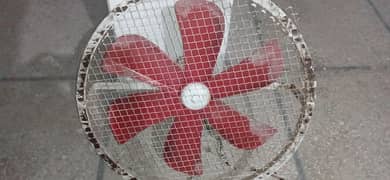 fan for sell