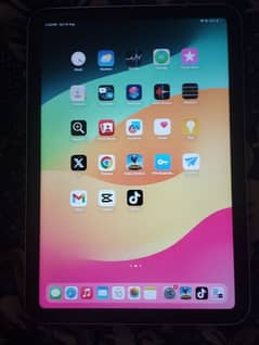 iPad mini 6