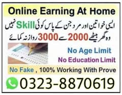 Online job at Home/Part Time/Data Entry/Typing/Assignments/