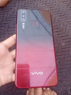 vivo