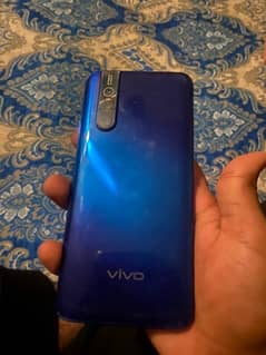 vivo