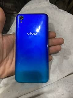 vivo