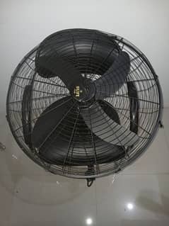 Bracket Fan