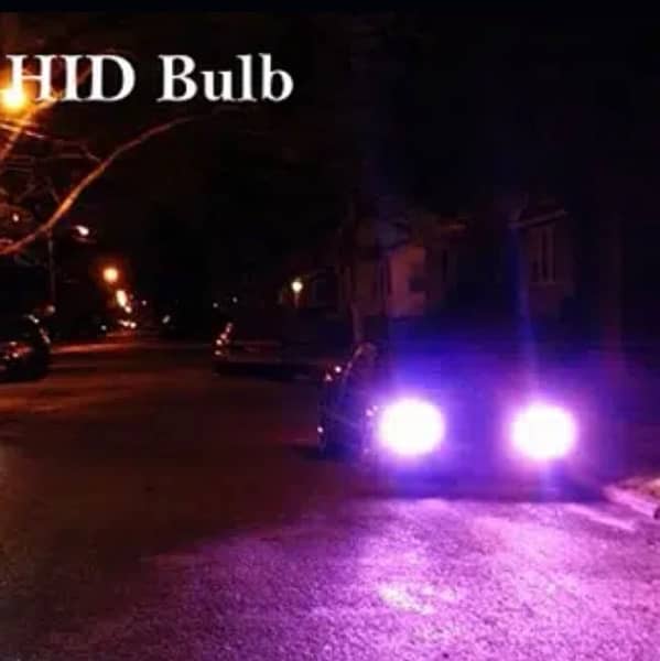 Pink HiD Bulb H11 55w 1