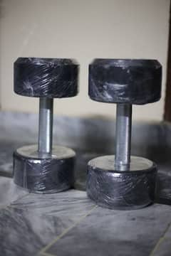 8kg Dumbbells Pair With Metal Rod