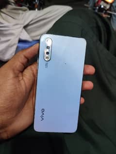 vivo