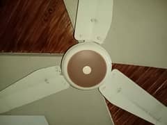 Ceiling Fan Available For Sale in Sahiwal