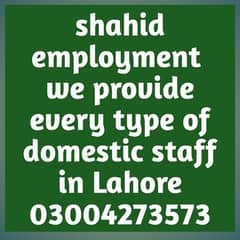 shahid employment