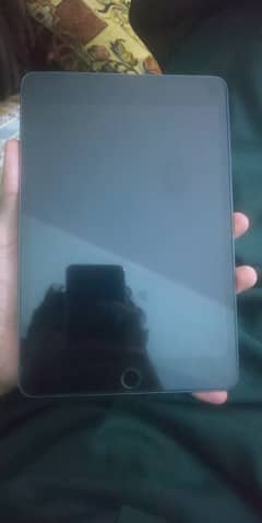 iPad Mini (5th Generation)