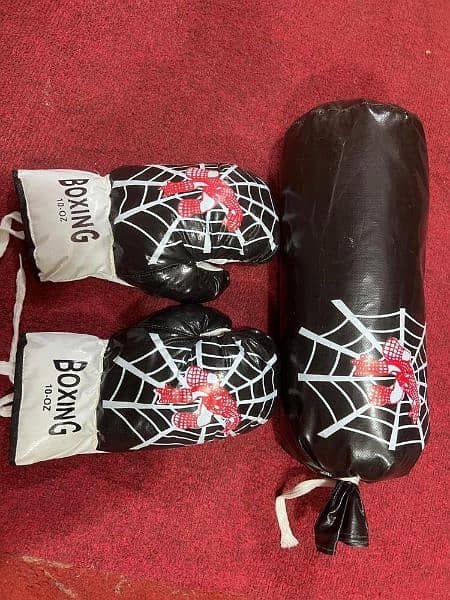 Boxing Gloves and Boxing Bag 2