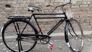 china bicycle