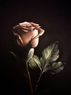 Rose painting