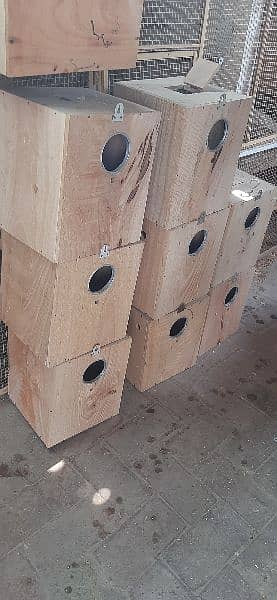 Box For Lovebird and cocktails