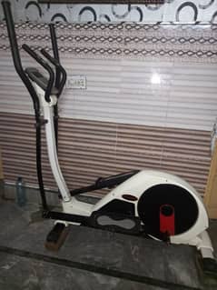 apolo elliptical