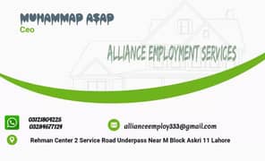 Alliance employment services