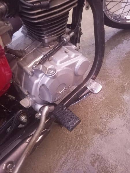 Honda 125 2019 Model Genuine 6