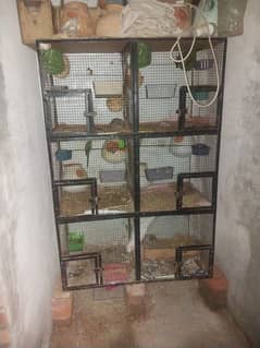 Birds Cages for Sale