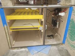 All kinds of Eggs Incubators Brooders and Accessories. Hatchery Service