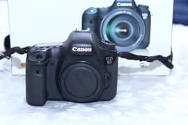 CANON EOS 6D(WG) with Kit Zoom Lense 24-105 (EF-24-70mm-f4L)