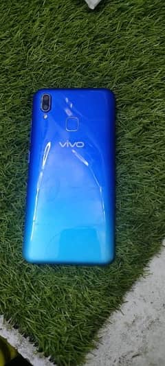 Vivo