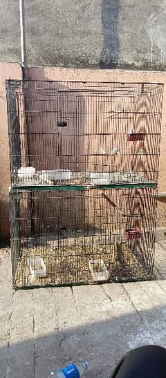 iron Cage for sale