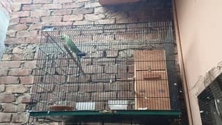 iron Cage for sale