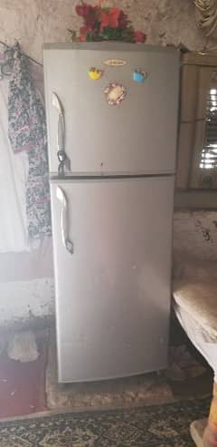 gry colot frige