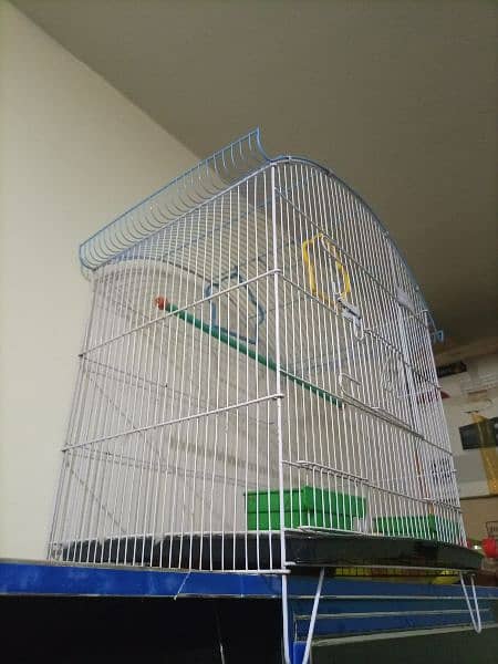 birds and small pet cage 1