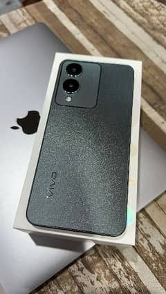 Vivo