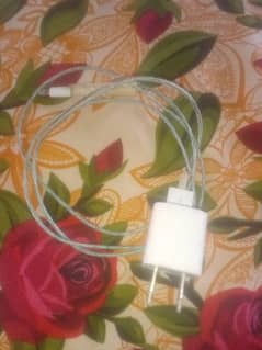 iphone original charger