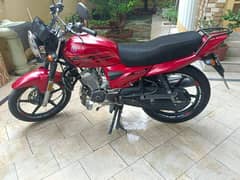 Yamaha