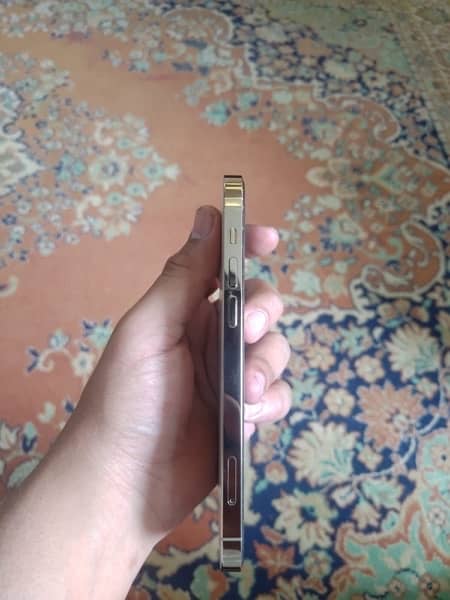 IPhone 12 Pro Non PTA 128 Gb Golden 2