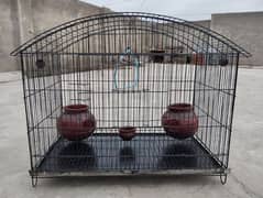 Birds Cage