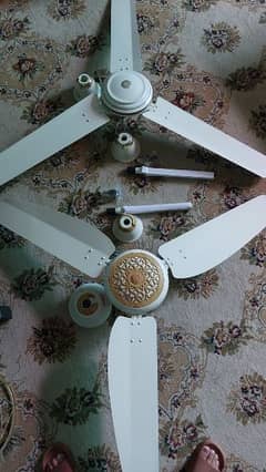 Parwaz Ceiling Fans