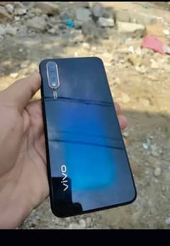 vivo